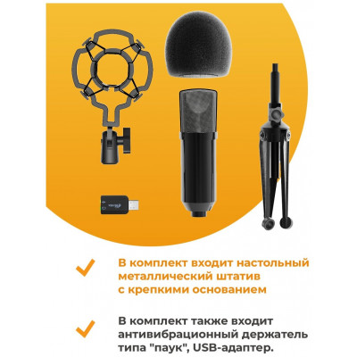 Студийный микрофон Ritmix RDM-160 черный