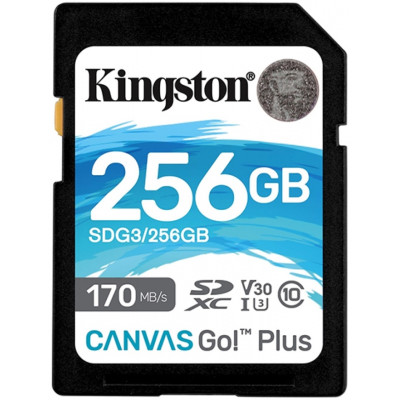 Карта памяти SD 256GB Class 10 U3 Kingston SDG3/256GB