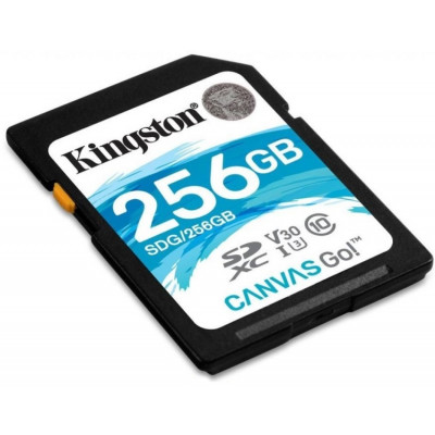 Карта памяти SD 256GB Class 10 U3 Kingston SDG3/256GB