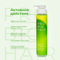 Levrana Шампунь для волос PRO BIO HAIR SEBUM CONTROL SHAMPOO, себорегулирующий, 350 мл