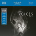 Виниловая пластинка RESO: Great Voices, Vol. II (2 LP) EAN:0707787750219