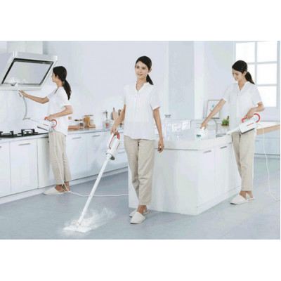 Пароочиститель Deerma steam cleaner ZQ610