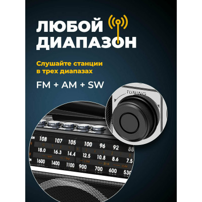 Радиоприемник портативный Ritmix RPR-171