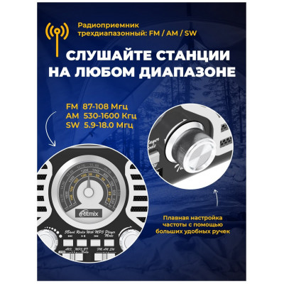 Радиоприемник портативный Ritmix RPR-095 серый