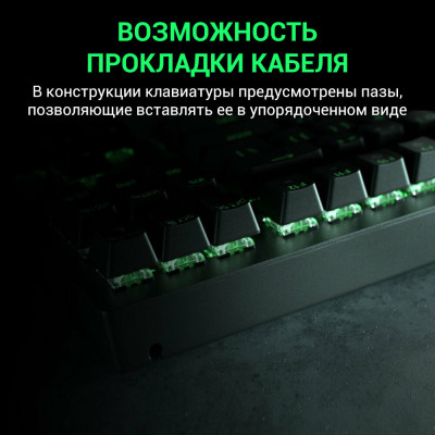 Клавиатура игровая Razer BlackWidow V3 TKL Мех/Green Switch/Черный/RGB (RZ03-03490700-R3R1)