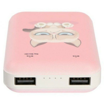 Зарядное устройство Power bank Ritmix RPB-10007 Grumpy Cat