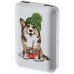 Зарядное устройство Power bank Ritmix RPB-10007 Corgi