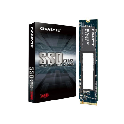Твердотельный накопитель внутренний Gigabyte G3NVMEV2256G Твердотельный накопитель внутренний Gigabyte G3NVMEV2256G