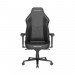 Игровое компьютерное кресло DX Racer Martian PRO GC/XLMP25LTA/TRIANGLE.N