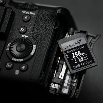 Карта памяти SD Exascend Essential, 256Gb, SDXC II, UHS-II (V90), R300/W260