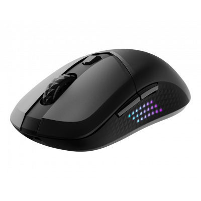 Мышь MSI VERSA 300 ELITE WIRELESS /RGB /2.4 GHz W /Bluetooth 5.3 /USB 2.0 /6 кн. /65 гр. /Черный