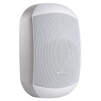 Настенный громкоговоритель Biamp MASK6CT-W