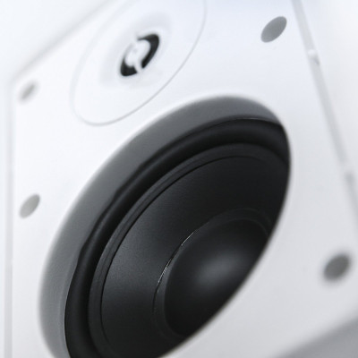 Настенная корпусная двухполосная акустическая система CVGaudio NF4TW