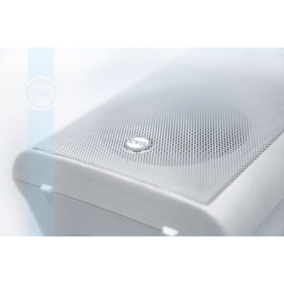 Настенная корпусная двухполосная акустическая система CVGaudio NF4TW