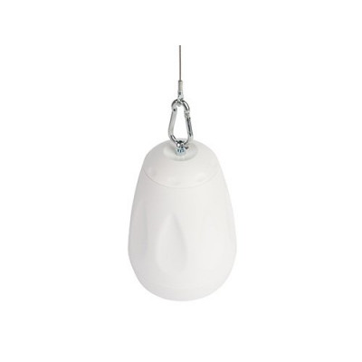 Подвесной громкоговоритель CVGaudio CS416TW