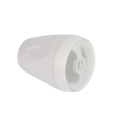 Подвесной громкоговоритель CVGaudio CS416TW