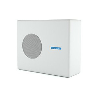 Пассивный сабвуфер CVGaudio SUBone model B-8W/CR/T