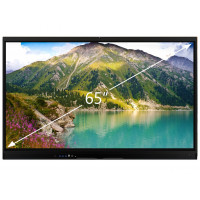 Интерактивная панель 65 дюймов DigiTouch T5-65