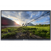 Интерактивная панель 65 дюймов DigiTouch T4-65Cam