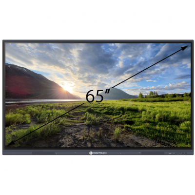 Интерактивная панель 65 дюймов DigiTouch T4-65Cam