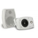 Настенный громкоговоритель CVGaudio ODF408TW