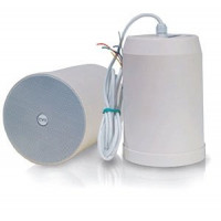 Подвесной громкоговоритель CVGaudio SPC5TW