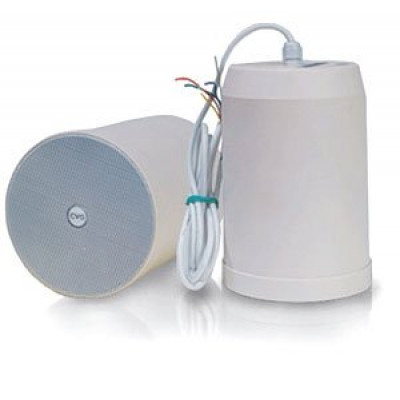 Подвесной громкоговоритель CVGaudio SPC5TW