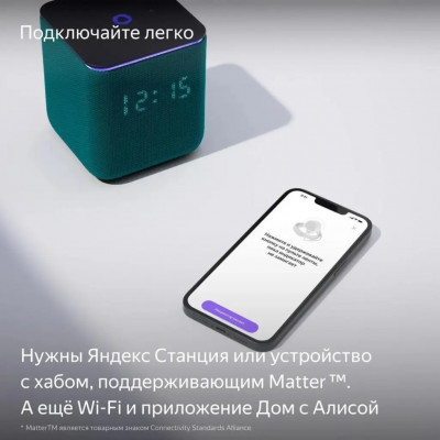 Розетка Яндекс накладная YNDX-00540WHT белый