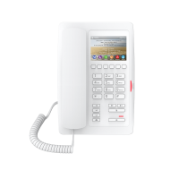 IP телефон Fanvil H5W (белый)