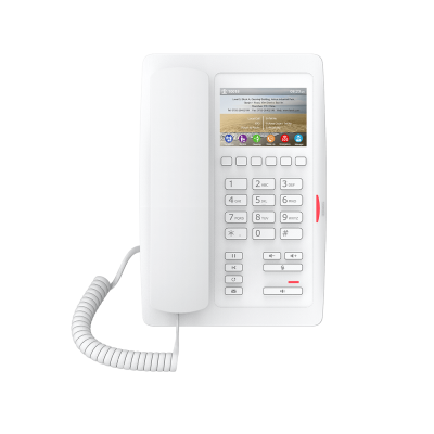 IP телефон Fanvil H5W (белый)