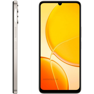 Смартфон Vivo Y04 4/64 золотистый