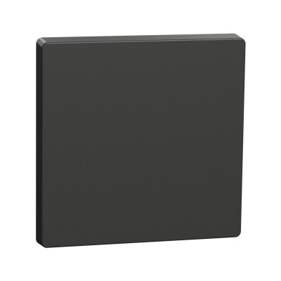 Клавиша MERTEN MTN3300-6034 D-Life 1-ная антрацит