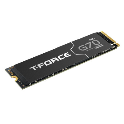 Твердотельный накопитель 1000GB SSD TeamGroup G70 PRO M.2 PCIe R7400/W5500 TM8FFH001T0C129