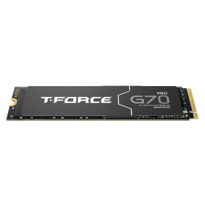 Твердотельный накопитель 1000GB SSD TeamGroup G70 PRO M.2 PCIe R7400/W5500 TM8FFH001T0C129