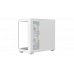 Корпус Ocypus Gamma C52 WH ARGB mATX/ITX 3xUSB Белый Gamma-C52-WHD300XX-GL