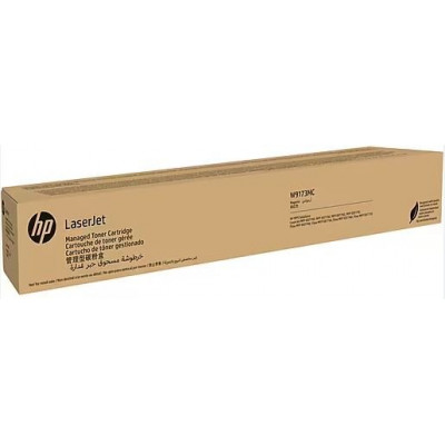 Тонер-картридж HP Europe W9173MC (W9173MC)