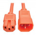 Кабель питания TrippLite (P018-006-AOR)