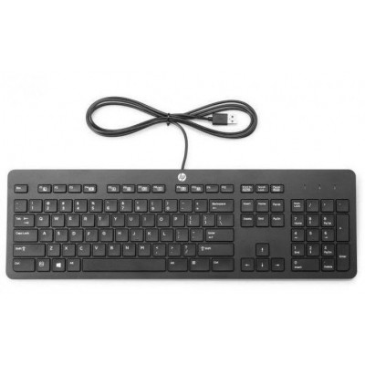 Клавиатура HP Europe 125 Wired Keyboard (266C9A6#B15)
