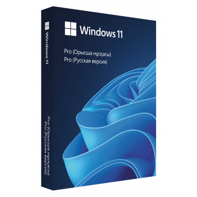 Программное обеспечение Microsoft/Win Pro FPP 11 64-bit Russian Kazakhstan Only USB (HAV-00160)